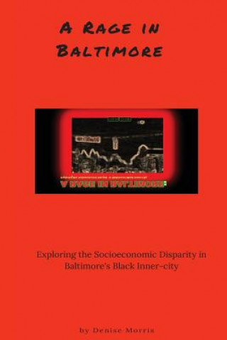 Книга A Rage in Baltimore: Exploring the Socioeconomic Despair in Baltimore's Black Inner-City Denise L Morris