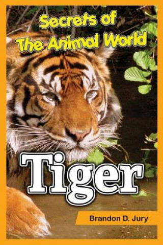 Carte Secrets of The Animal World Tiger Brandon D Jury