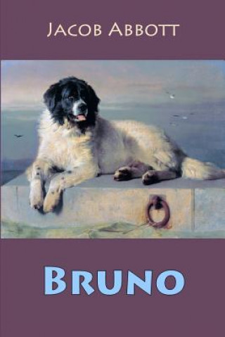 Book Bruno Jacob Abbott