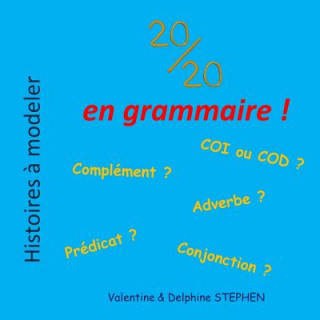 Kniha 20/20 en grammaire ! Valentine Stephen
