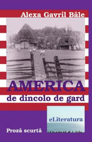 Könyv America de Dincolo de Gard: Nuvele Alexa Gavril Bale