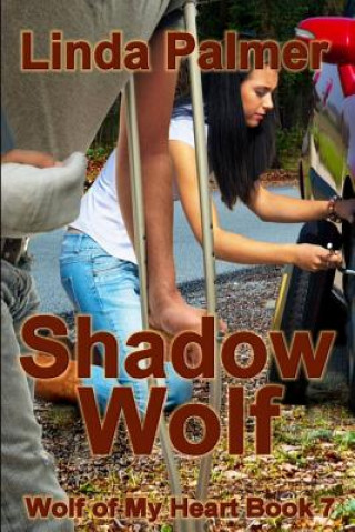 Knjiga Shadow Wolf Linda Palmer