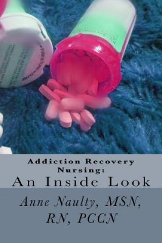 Książka Addiction Recovery Nursing: An Inside Look: Information for all Nurses Anne Naulty Rn