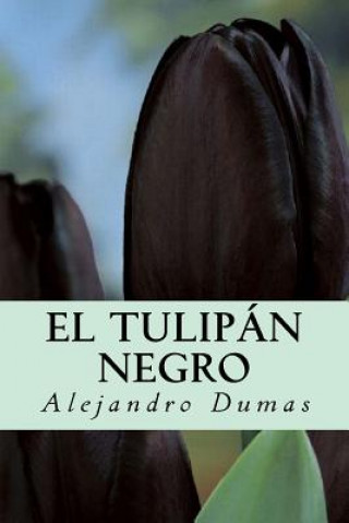 Buch El Tulipán Negro Alejandro Dumas