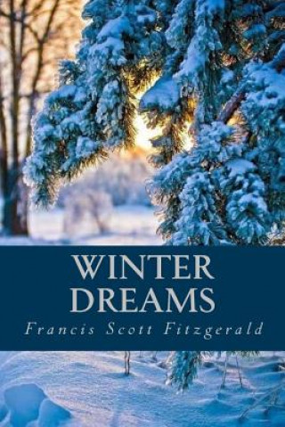 Libro Winter Dreams F Scott Fitzgerald