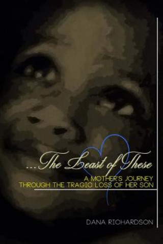 Carte The Least of These: A Mother's Journey through the Tragic Loss of Her Son MS Dana D Richardson