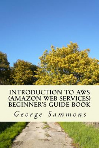 Könyv Introduction to AWS (Amazon Web Services) Beginner's Guide Book: Learning the basics of AWS in an easy and fast way George Sammons