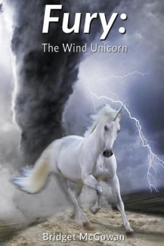 Carte Fury: The Wind Unicorn Bridget McGowan