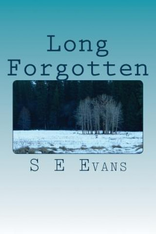 Book Long Forgotten S E Evans