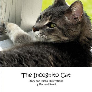 Book The Incognito Cat Rachael Kroot