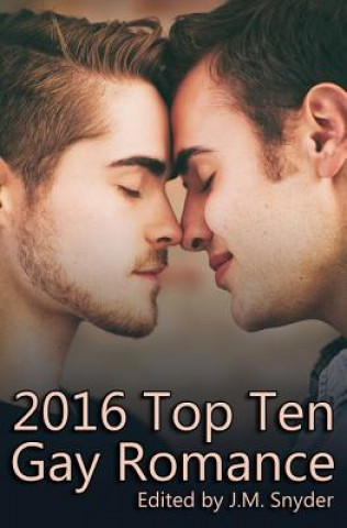 Kniha 2016 Top Ten Gay Romance J M Snyder