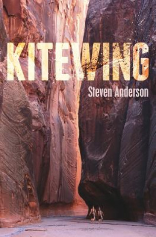 Libro Kitewing Steven Anderson