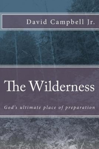 Carte The Wilderness: God's ultimate place of preparation David Campbell Jr