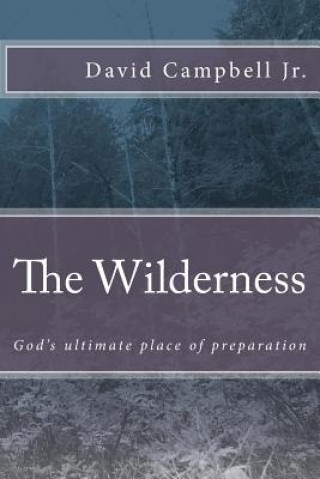 Kniha The Wilderness: God's ultimate place of preparation David Campbell Jr