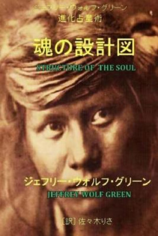 Книга Structure of the Soul Jeffrey Wolf Green