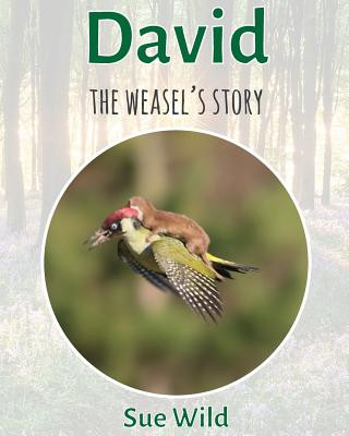 Kniha David: The weasel's story Sue Wild