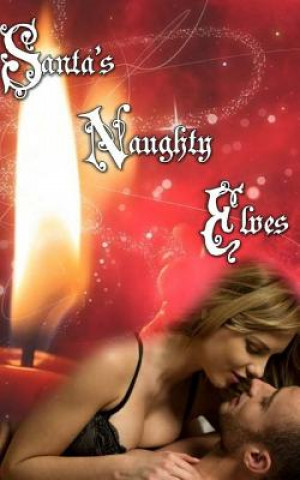 Kniha Santa's Naughty Elves K M Cox