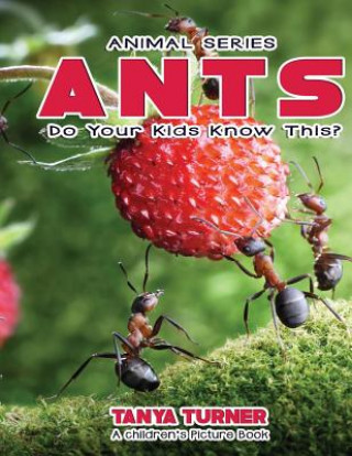 Kniha ANTS Do Your Kids Know This?: A Children's Picture Book Tanya Turner