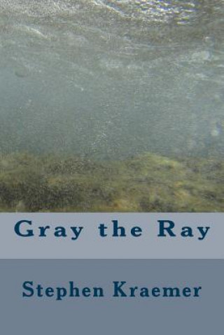 Knjiga Gray the Ray Stephen M Kraemer
