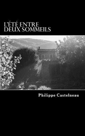 Kniha L'Été Entre Deux Sommeils: 253 Ha?kus Sans Rime Ni Raison Philippe Castelneau