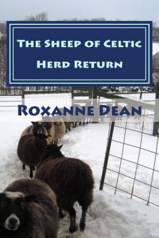 Książka The Sheep of Celtic Herd Return: Ewe Are Still Thinking? Aren't Ewe? MS Roxanne M Dean