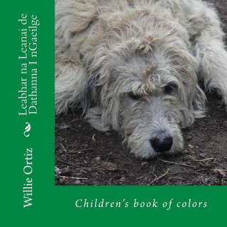 Kniha Leabhar na Leanai de Dathanna I nGaeilge: Children's book of colors MR Willie Ortiz