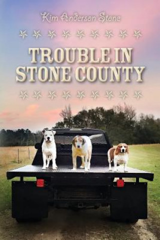 Buch Trouble in Stone County Kim Anderson Stone