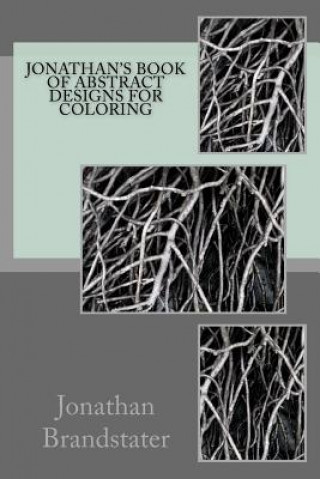 Kniha Jonathan's Book of Abstract Designs for Coloring Jonathan Jay Brandstater