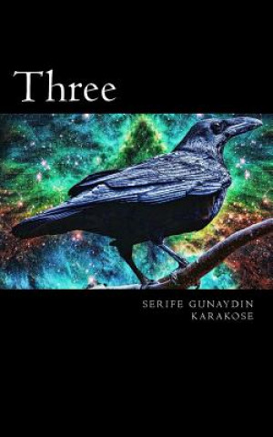 Könyv Three: Once upon a time, and a very good time it was, though it wasn't in my time, nor in your time, nor anyone else's time, Serife Gunaydin Karakose