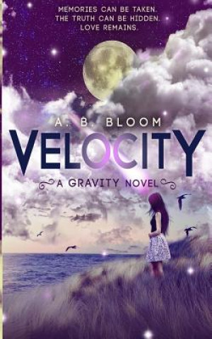 Kniha Velocity A B Bloom