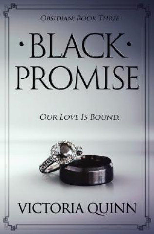 Kniha Black Promise Victoria Quinn