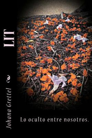 Livro Lit Johana Grettel Tejada