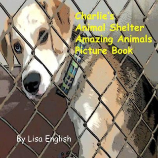 Kniha Charlie's Animal Shelter Amazing Animals Lisa English