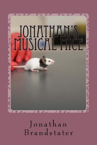 Kniha Jonathan's Musical Mice: A spot the differences book Jonathan Jay Brandstater