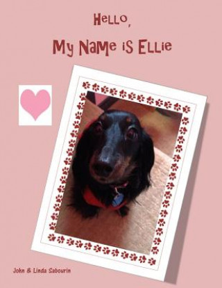 Livre Hello my name is Ellie John Sabourin