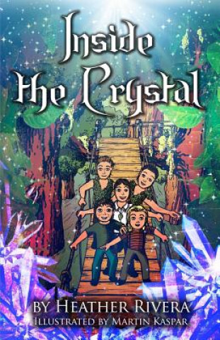 Kniha Inside the Crystal Heather S Friedman Rivera