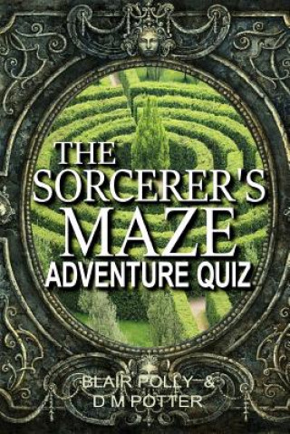 Buch The Sorcerer's Maze Blair Polly