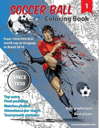 Kniha World Cup Soccer Balls: World Cup Soccer balls Leo D Elias