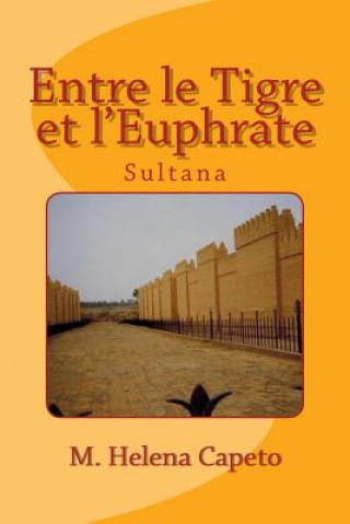 Kniha Entre Le Tigre Et l'Euphrate: Sultana M Helena Capeto