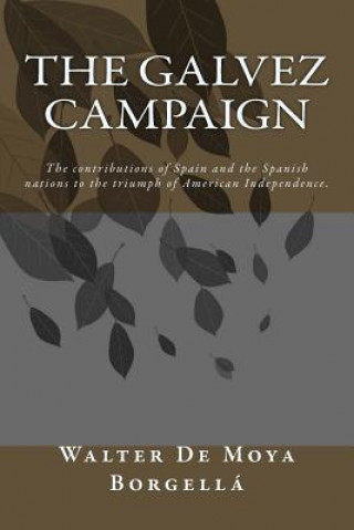 Könyv The Galvez Campaign Walter E de Moya Borgella