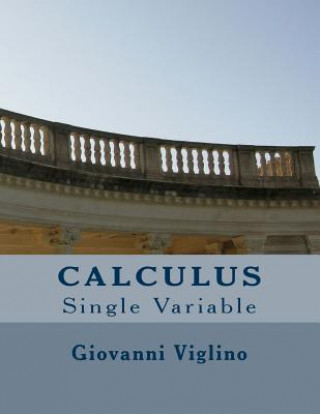 Könyv Calculus: Single Variable Giovanni Viglino