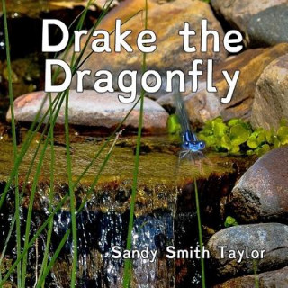 Buch Drake the Dragonfly Sandy Smith Taylor