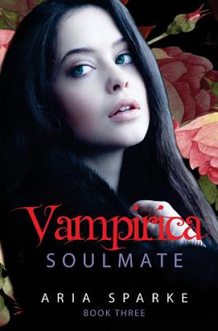 Book Soulmate Aria Sparke