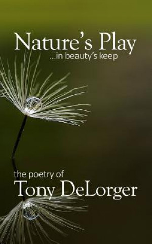 Buch Nature's Play...in beauty's keep Mr Tony R Delorger