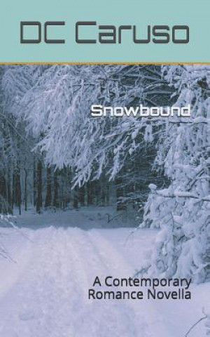 Livre Snowbound: A Contemporary Romance Novella DC Caruso