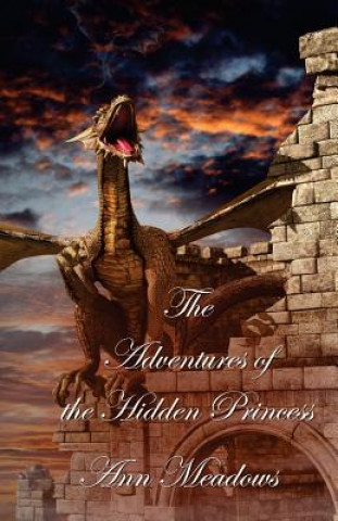 Kniha The Adventures of the Hidden Princess Ann Meadows