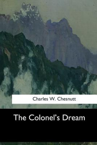 Buch The Colonel's Dream Charles W Chesnutt