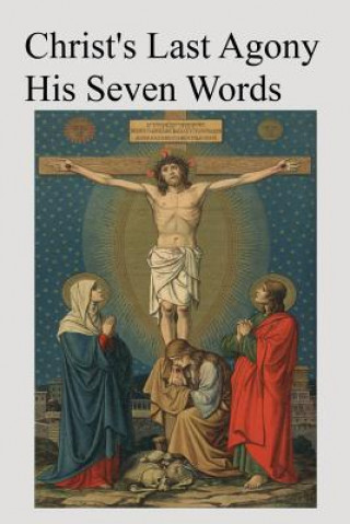 Kniha Christ's Last Agony: His Seven Words Rev Henry E O'Keeffe