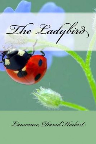 Kniha The Ladybird Lawrence David Herbert