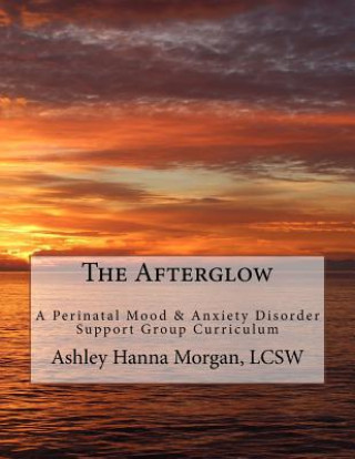 Kniha The Afterglow: A Perinatal Mood & Anxiety Disorder Support Group Curriculum Ashley Hanna Morgan